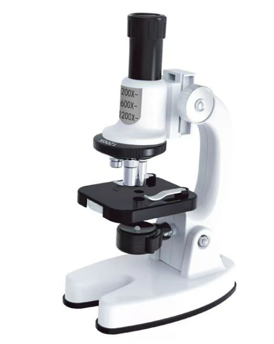 Children`s 1200x Microscope Experiment